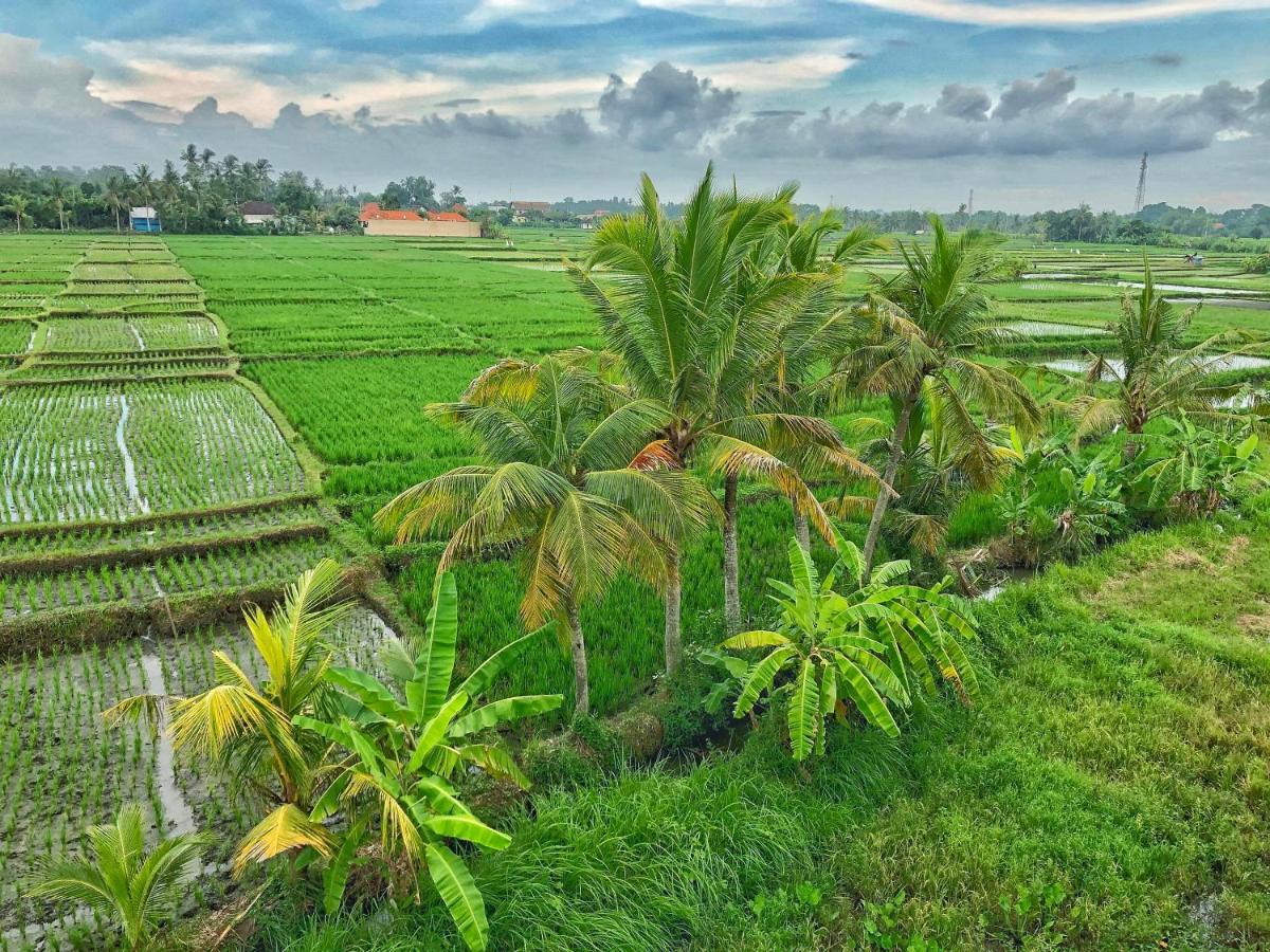 Swell Hotel, Pool Bar & Restaurant Tanah Lot  Exterior photo